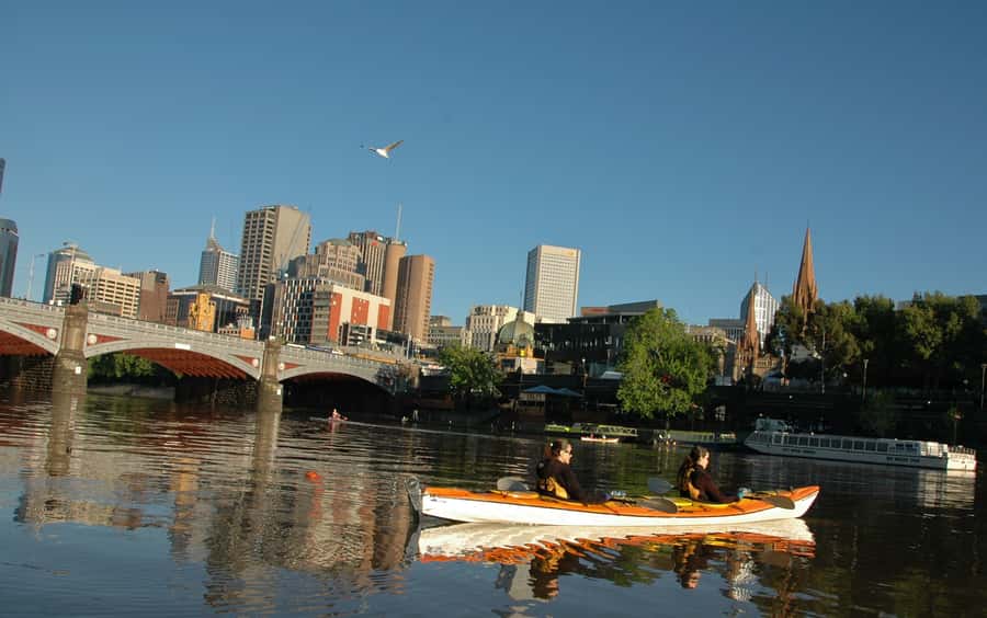 Melbourne: Iconic City Sights Kayak Experience - Key Things to Know Before You Paddle