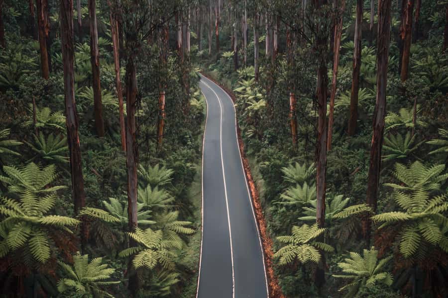 Melbourne: Lake Mountain Snow Day and Waterfalls & Chocolate - Who this Lake Mountain and waterfalls day trip is best for