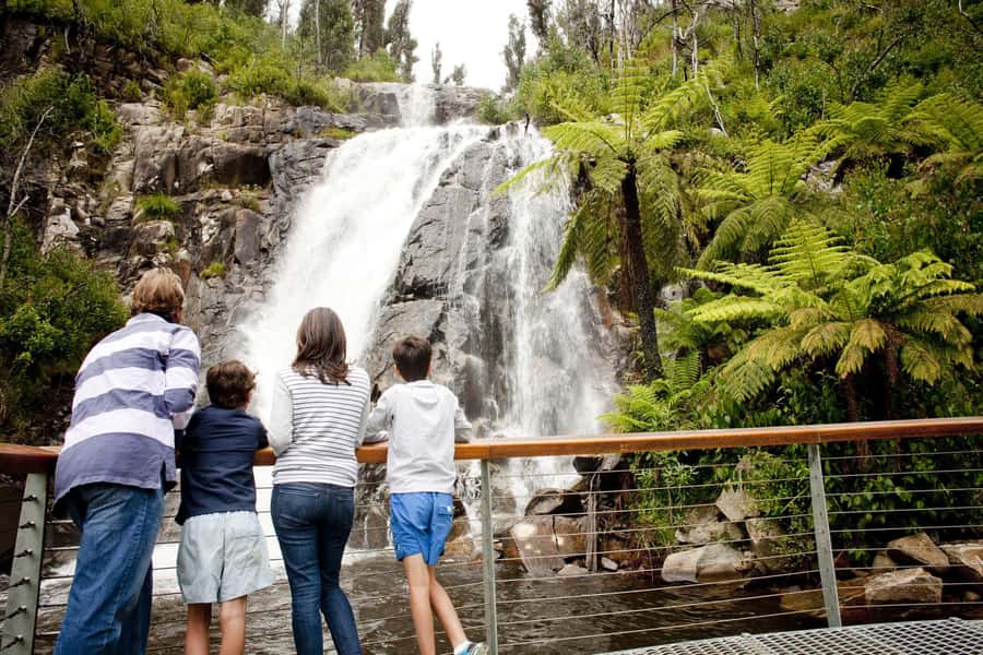 Melbourne: Lake Mountain Snow Day and Waterfalls & Chocolate - Lake Mountain Snow Day: Why this tour feels different