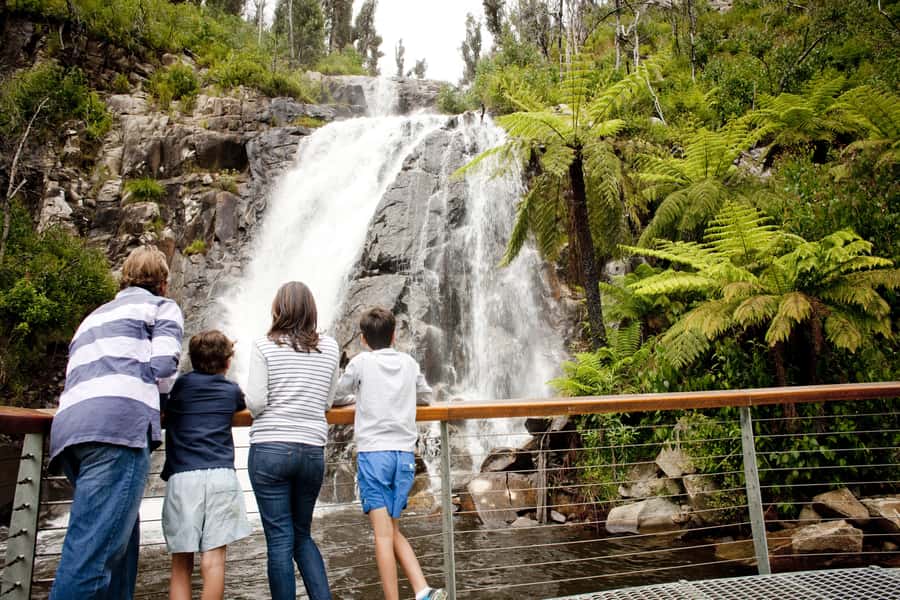 Melbourne: Lake Mountain Snow Guided Tour - Should You Book the Melbourne: Lake Mountain Snow Guided Tour?