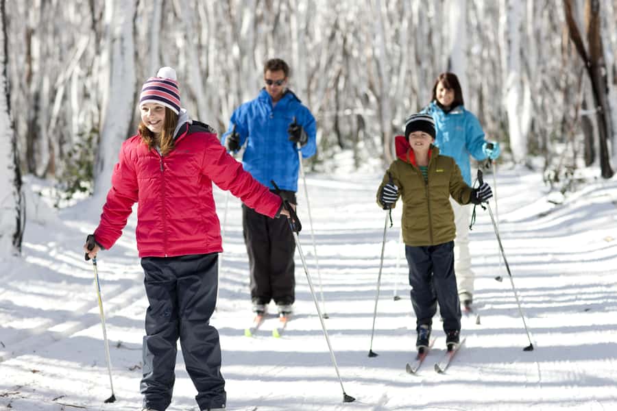 Melbourne: Lake Mountain Snow Guided Tour - Price and Logistics: Why $104 Can Be Good Value (and When It Might Not Be)