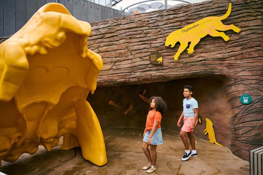 Melbourne: Melbourne Museum Entry Ticket - Why Melbourne Museum Is a Solid Value for Your Day
