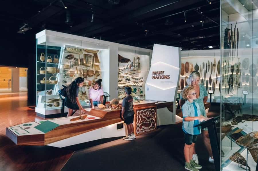 Melbourne: Melbourne Museum Entry Ticket - Forest Gallery: Tall Trees, Wildlife Energy, and Local Environment