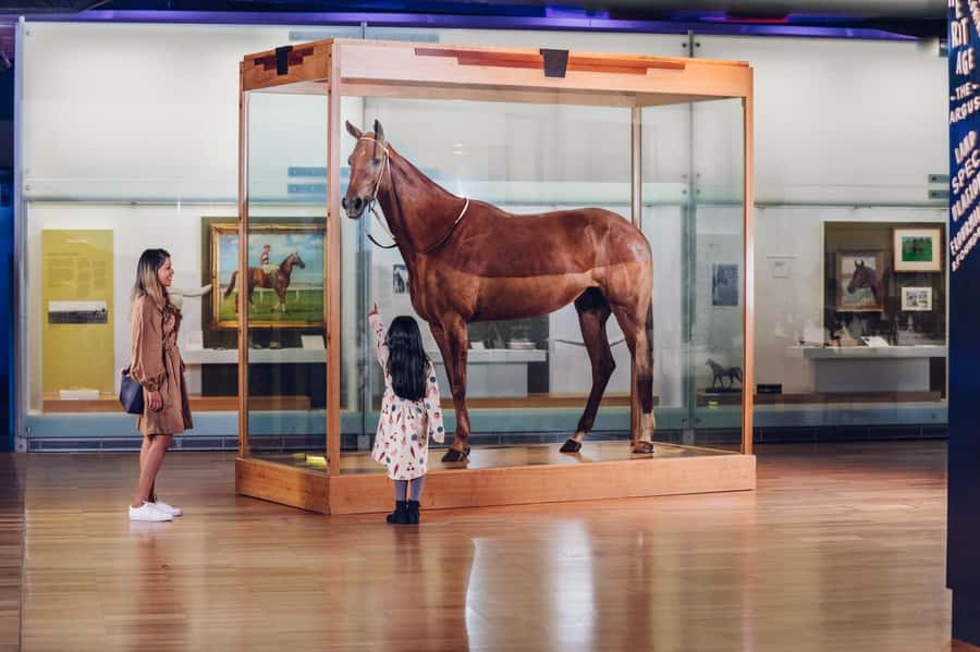 Melbourne: Melbourne Museum Entry Ticket - Children’s Gallery: Fun Learning Without Feeling Like Homework