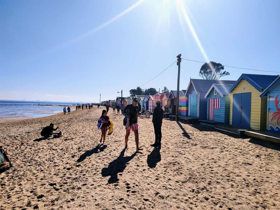 Melbourne: Moonlit Sanctuary and Brighton Beach Boxes Tour - Key highlights at a glance