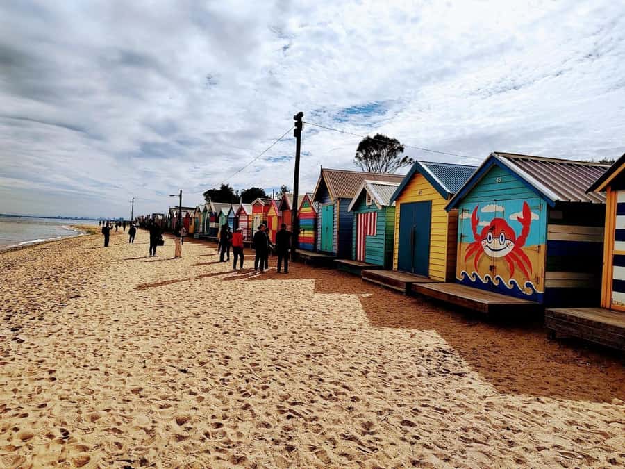Melbourne: Moonlit Sanctuary and Brighton Beach Boxes Tour - Food, drinks, and the practical stuff you’ll want to plan for