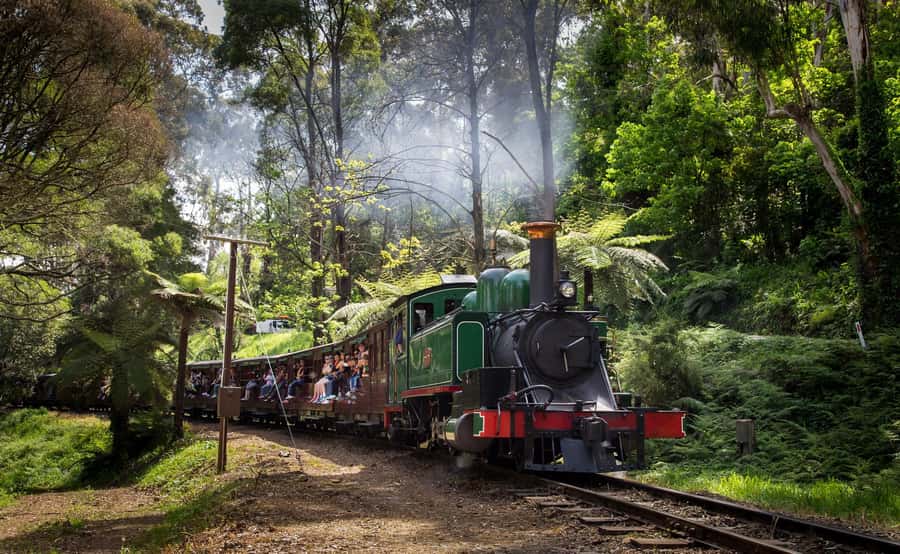 Melbourne: Penguin Parade Tour with Puffing Billy Train Ride - A Steam Train and Penguins in One Day