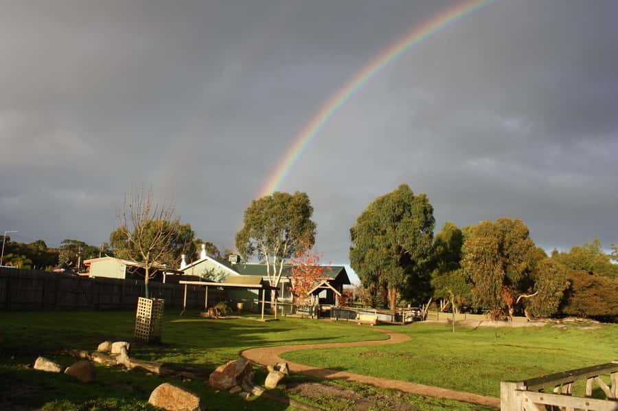 Melbourne: Penguin Parade Tour with Puffing Billy Train Ride - Who This Tour Fits Best (and Who Might Want a Different Plan)