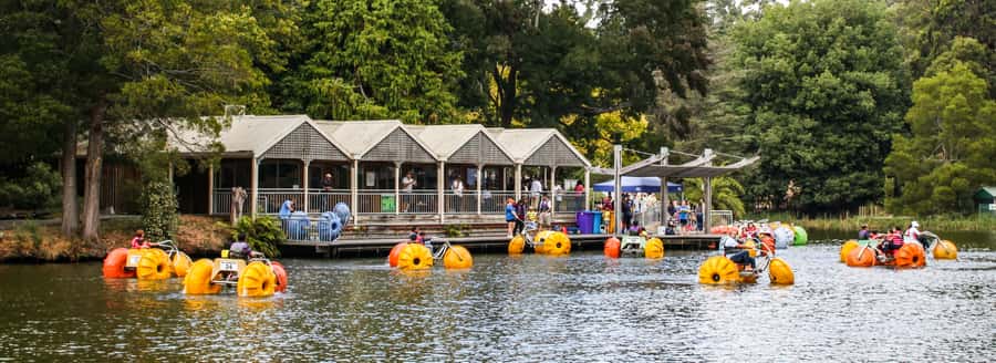 Melbourne: Puffing Billy & Healesville Sanctuary Scenic Tour - Price and value: what you’re really paying for