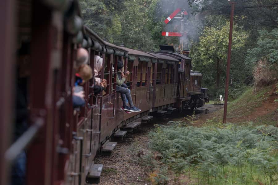 Melbourne: Puffing Billy Railway & Penguin Parade Day Tour - Maru Koala & Animal Park: worth it, but don’t count on it