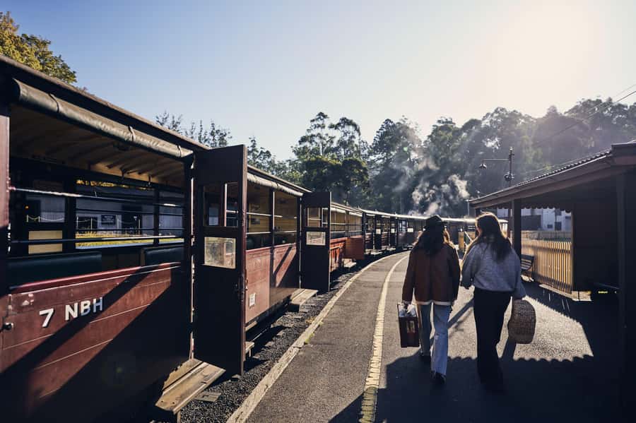 Melbourne: Puffing Billy Railway & Rainforest Tour - A Steam Train Escape That Actually Feels Like a Day Off