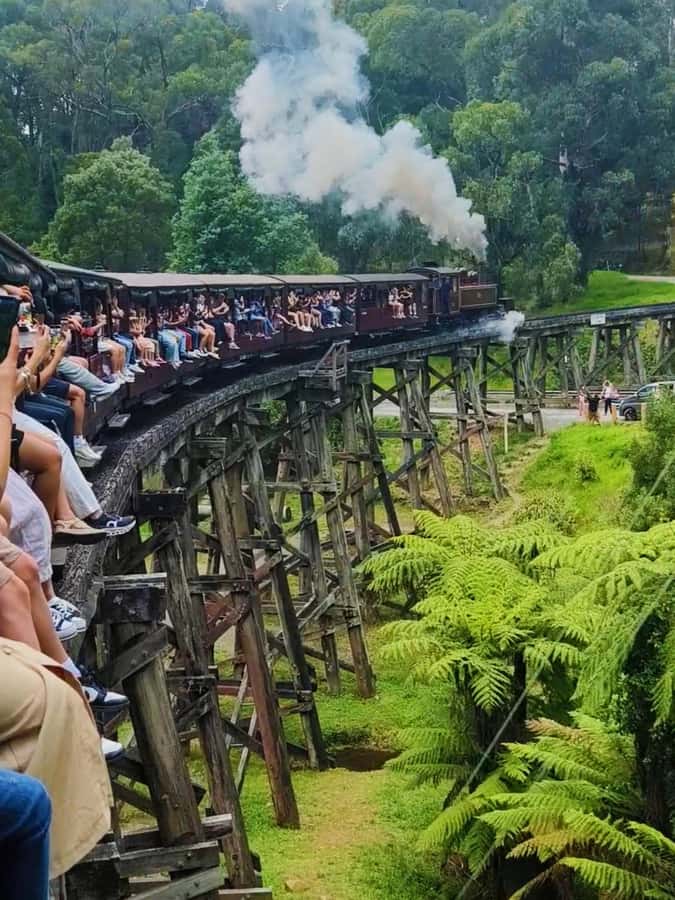 Melbourne: Puffing Billy Train and Penguin Island Day Tour - Key highlights worth planning for