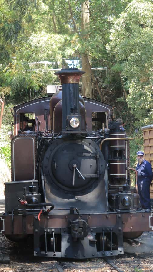 Melbourne: Puffing Billy Train and Penguin Island Day Tour - Riding Puffing Billy Steam Train through the Dandenong Ranges