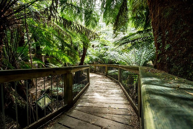 Melbourne to Adelaide 3-Day Great Ocean Road & Grampians Tour - Day 2: Tower Hill wildlife reserve and the Grampians at Halls Gap