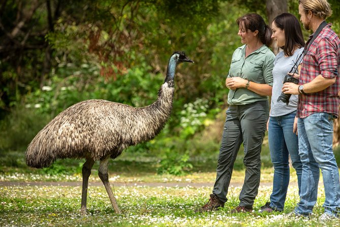 Melbourne to the Great Ocean Road & Grampians 3 Day Original Tour - How active are the walks, really?