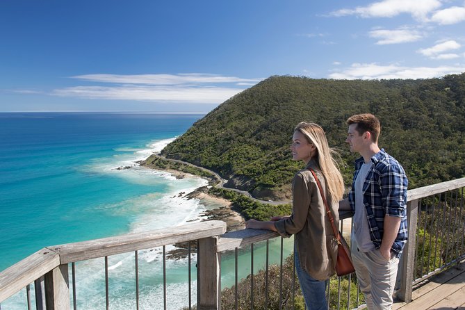 Melbourne to the Great Ocean Road & Grampians 3 Day Original Tour - Wildlife spotting: kangaroos, emus, and the art of not getting in the way
