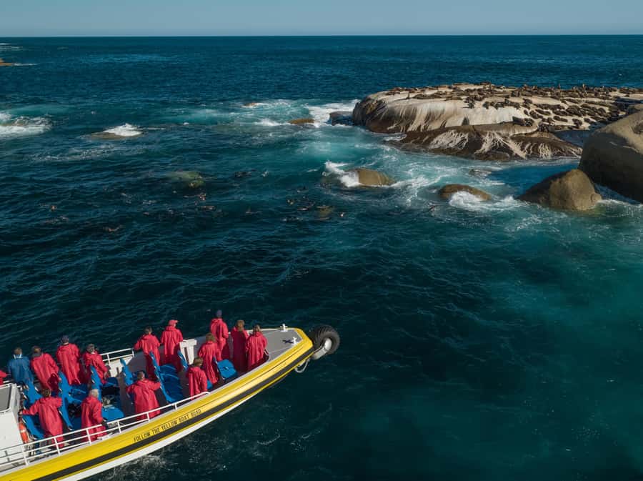 Melbourne: Wilsons Promontory Morning Wilderness Cruise - Why Wilsons Promontory Looks Different by Boat