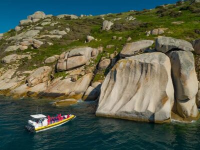 Melbourne: Wilsons Promontory Morning Wilderness Cruise - The Amphibious Boat Ride: What It Feels Like on the Water