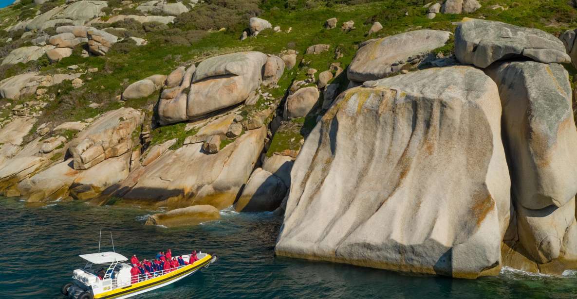 Melbourne: Wilsons Promontory Morning Wilderness Cruise - Price and Value: Is It Worth $109?