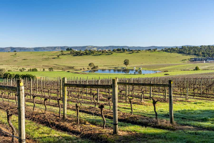 Melbourne: Yarra Valley Wine, Cider, Gin, Beer, & Choc Tour - Key Things You’ll Notice on This Trip