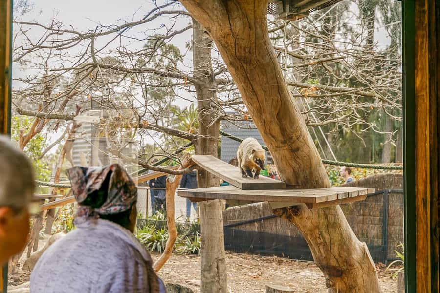 Melbourne Zoo: 1-Day Entry Ticket - Inside the zoo: the rainforest-to-rainforest feel of a well-routed day
