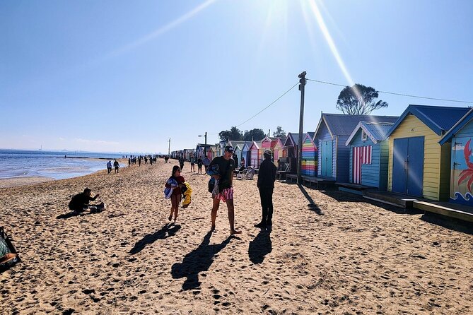 Moonlit Sanctuary and Brighton Beach Boxes Half Day Tour - Your guide makes the drive meaningful