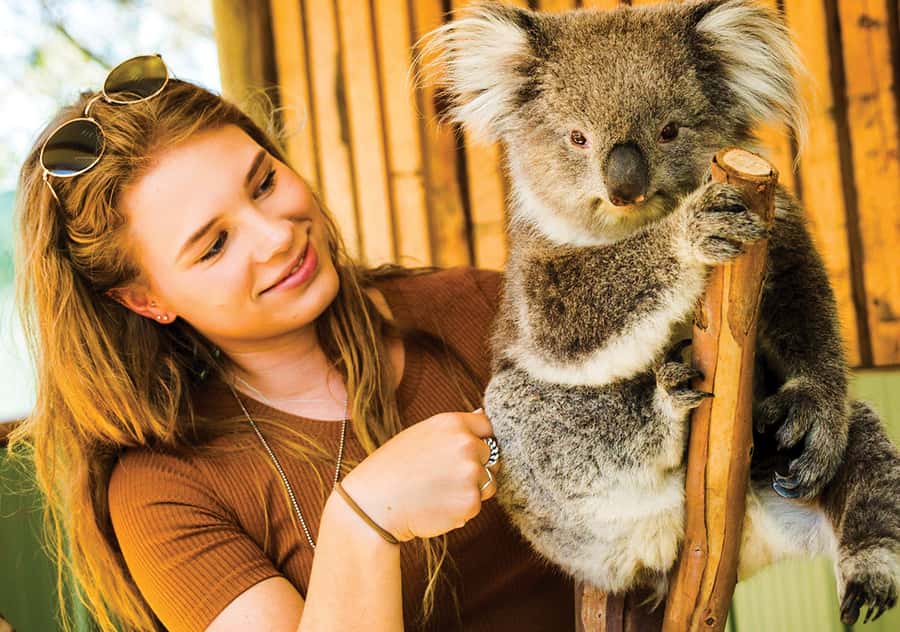 Moonlit Sanctuary Conservation Park Entry Ticket - Key Takeaways Before You Go
