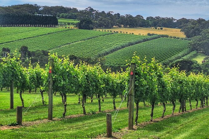 Mornington Peninsula Day Tour. Your Day Your Way. Your group only - Key highlights before you go