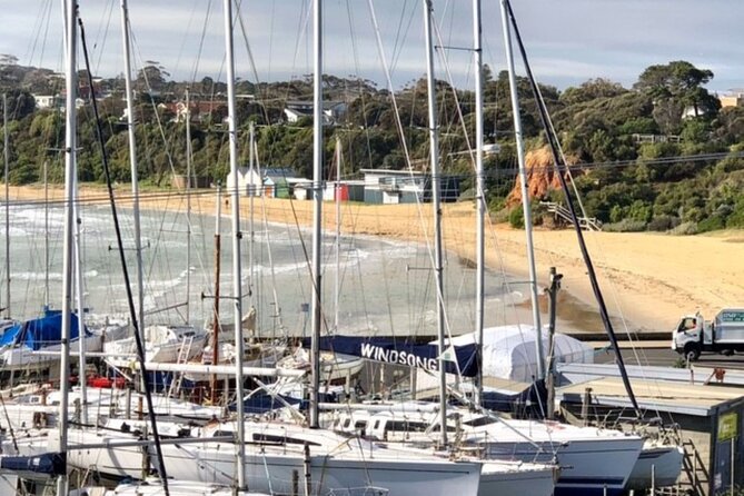 Mornington Peninsula Day Tour. Your Day Your Way. Your group only - Stop 1: Mornington Peninsula first—coastline, parks, and photo chances