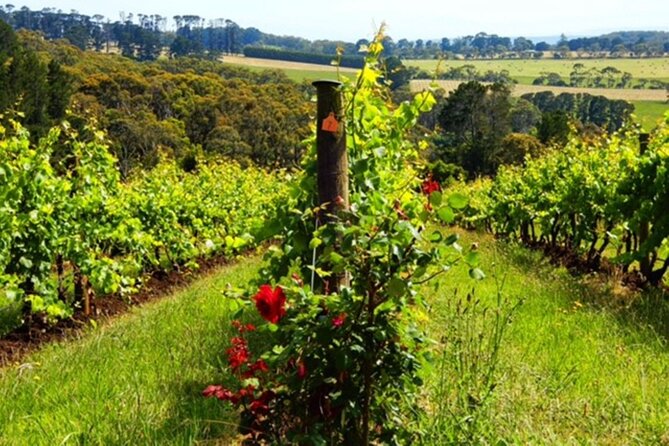 Mornington Peninsula Day Tour. Your Day Your Way. Your group only - Stop 2: Mornington township—harbour, pier, and a coffee break