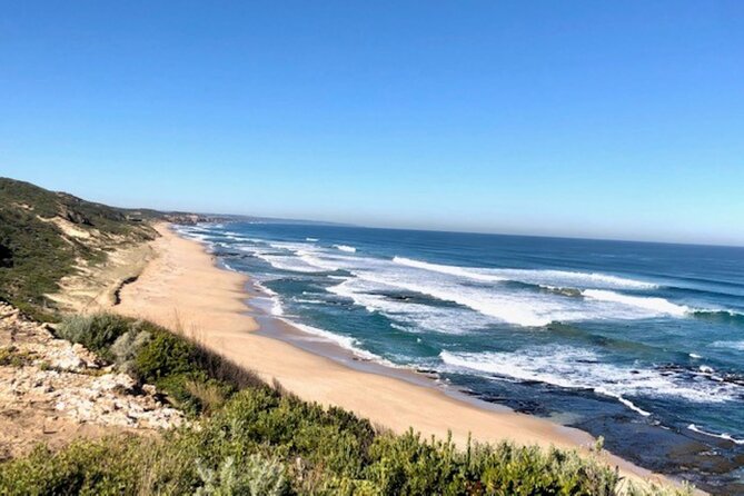 Mornington Peninsula Day Tour. Your Day Your Way. Your group only - Stop 4: Sorrento—historic European settlement, ferry terminal, beaches