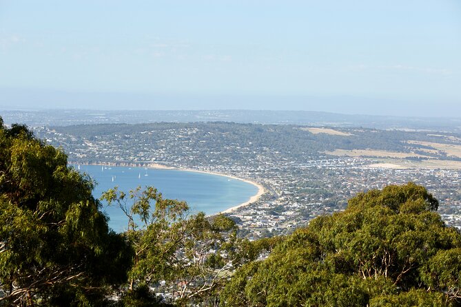 Mornington Peninsula Sightseeing and Bay Cruise - Sorrento Pier and the Searoad ferry crossing: what the bay cruise really is