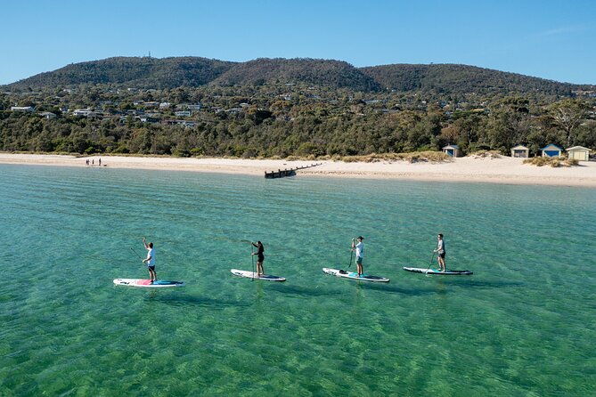 Mornington Peninsula Sightseeing and Bay Cruise - Arthurs Seat and Murrays Lookout: where the bay opens wide