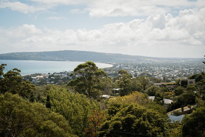 Mornington Peninsula Small Group Thermal Springs w/ Lunch & Wine - Peninsula Hot Springs: 3 hours in mineral pools, views, and the crowd reality