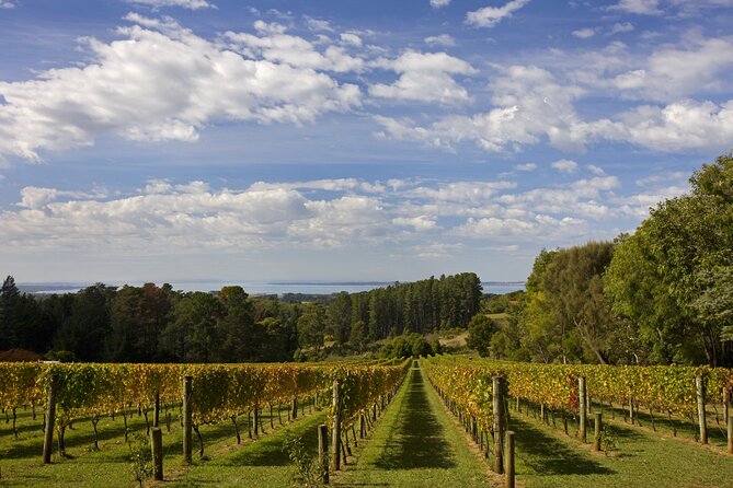 Mornington Peninsula Wine Day Tour - A peninsula day trip that trades speed for scenery