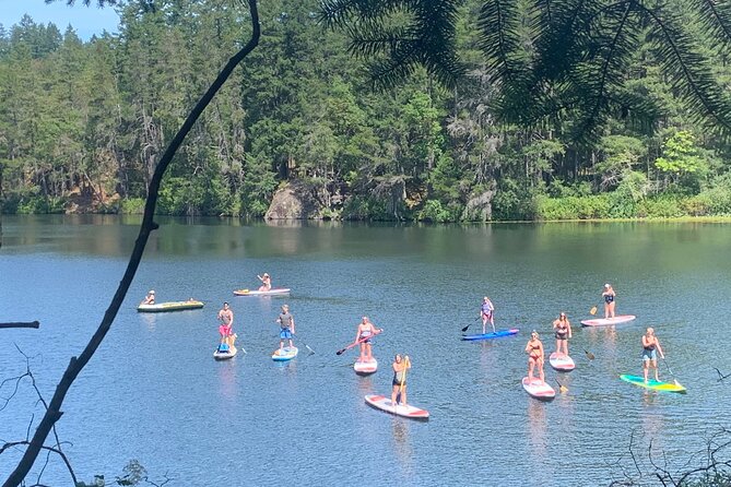 Paddling Thetis Lake - Value check: $60.05 for a guided SUP day that’s actually structured