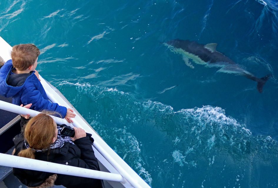 Philip Island: Dolphin and Whale Cruise - Afternoon Tea and the Licensed Bar: What You Actually Get Included