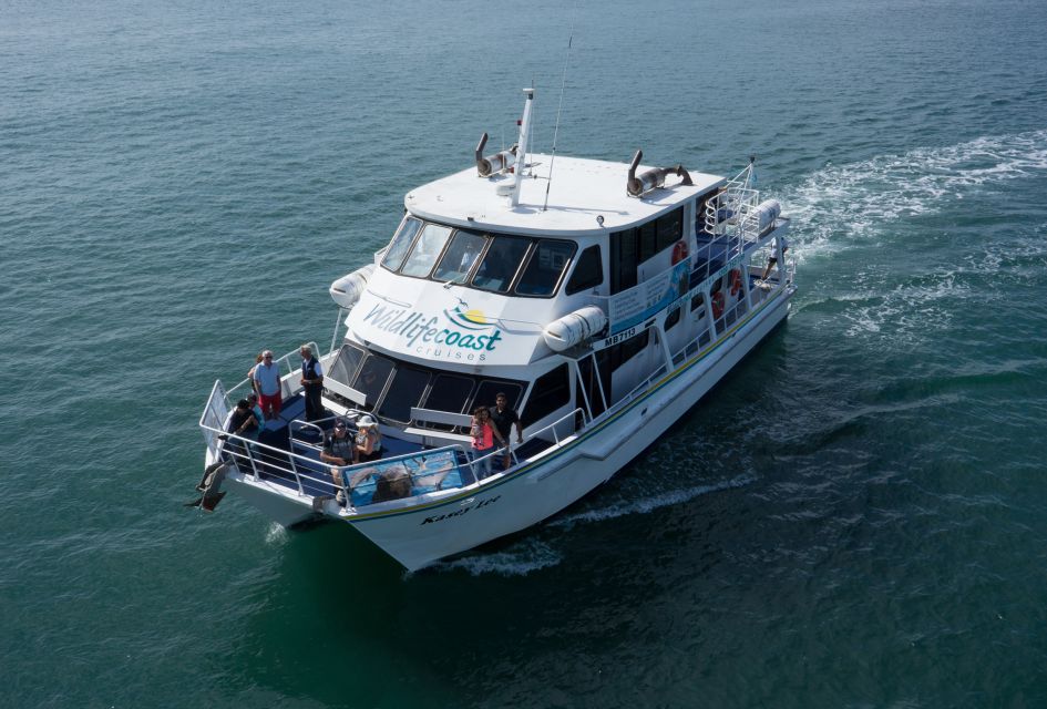 Philip Island: Dolphin and Whale Cruise - The Marine-Respect Factor: The Difference You Notice in How It’s Run