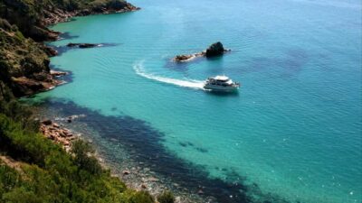 Phillip Island: 1-Hour Cape Woolamai Scenic Cruise - What You’ll Actually Do On This 1-Hour Itinerary