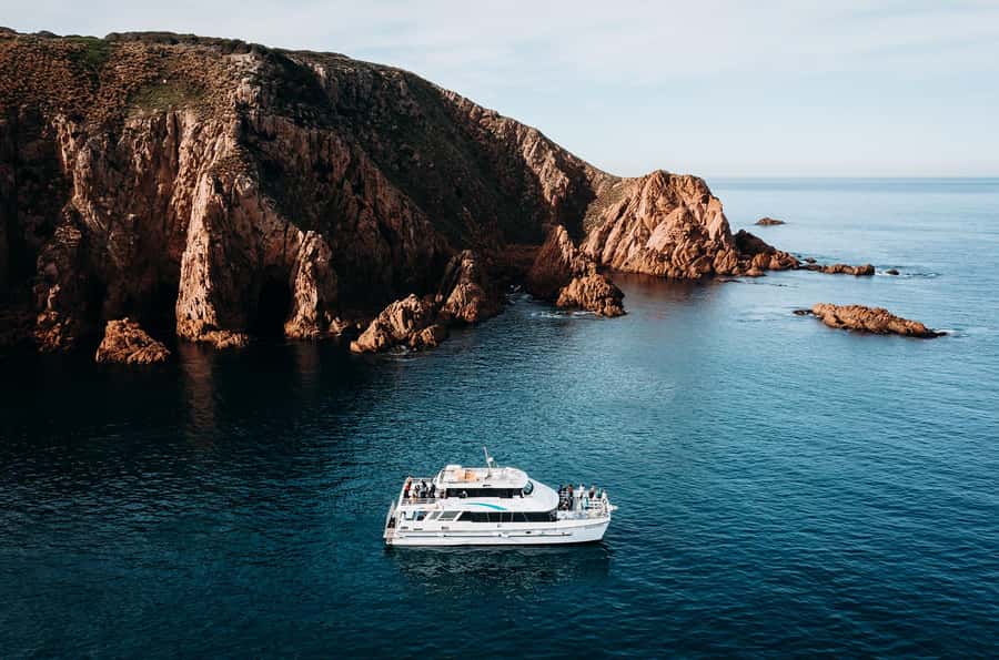 Phillip Island: 1-Hour Cape Woolamai Scenic Cruise - Practical Tips Before You Go (So You Enjoy It More)