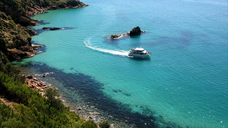 Phillip Island: 1-Hour Cape Woolamai Scenic Cruise - What You’ll Actually Do On This 1-Hour Itinerary