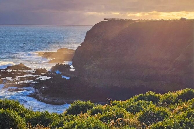 Phillip Island: Golden Hour Penguin Express Tour w/ Island Pickup - Summerlands drive at dusk: wildlife chances in motion