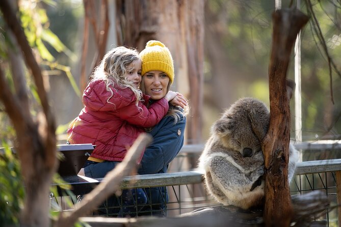 Phillip Island Penguin and Koala Highlights Day-Trip from Melbourne - Koala Conservation Reserve: treetop boardwalks and real Aussie wildlife