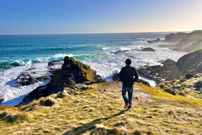Phillip Island & Penguin Parade Afternoon Eco Tour from Melbourne - Key highlights worth knowing before you go