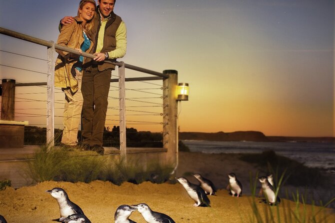 Phillip Island & Penguin Parade Afternoon Eco Tour from Melbourne - Leaving Melbourne with a plan that actually feels streamlined