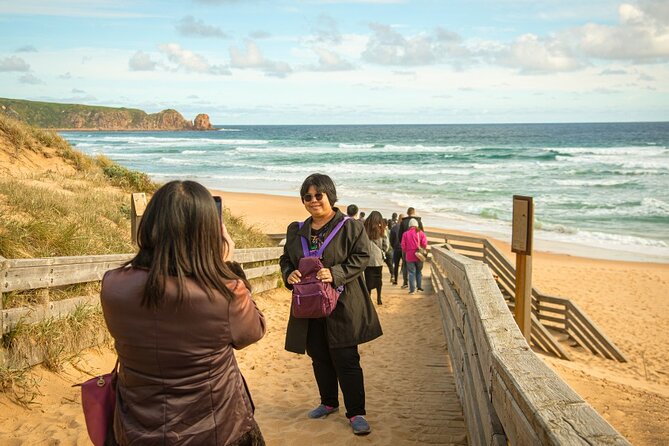 Phillip Island Penguin Parade Express Tour from Melbourne - Key highlights to plan around