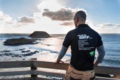 Phillip Island Penguin Parade Express Tour from Melbourne - The Nobbies stop: fur seals plus rugged south-coast views