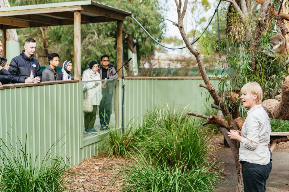 Phillip Island Penguin Parade with Expert Local Guide - What to bring (so the cold part doesn’t ruin your night)