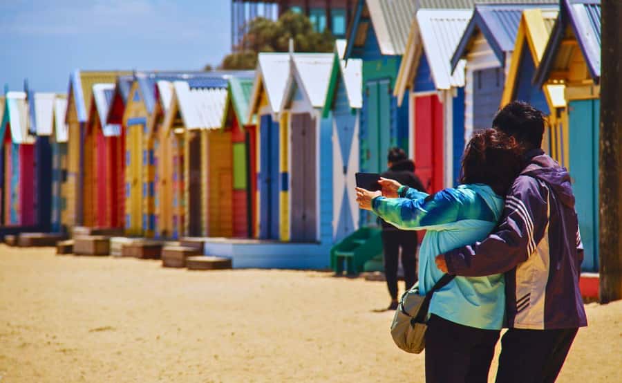 Phillip Island Penguin Parade with Expert Local Guide - Moonlit Sanctuary: koalas, kangaroos, and why conservation stories matter