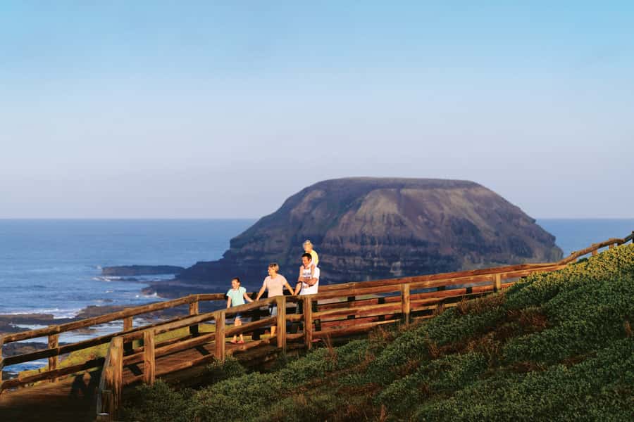 Phillip Island: Penguins and Wildlife Full-Day Tour - The big idea: a 10-hour wildlife route with bus comfort